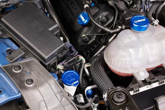 Ford Shelby Engine Bay Cap Kit