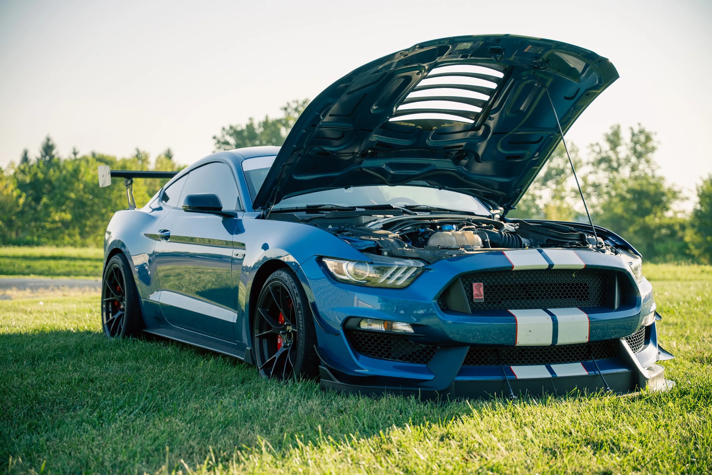 Ford Mustang Shelby GT350 with the hood open showing the carbon hood louver from underneath