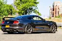 Rear Diffuser - Ford Mustang (S550)