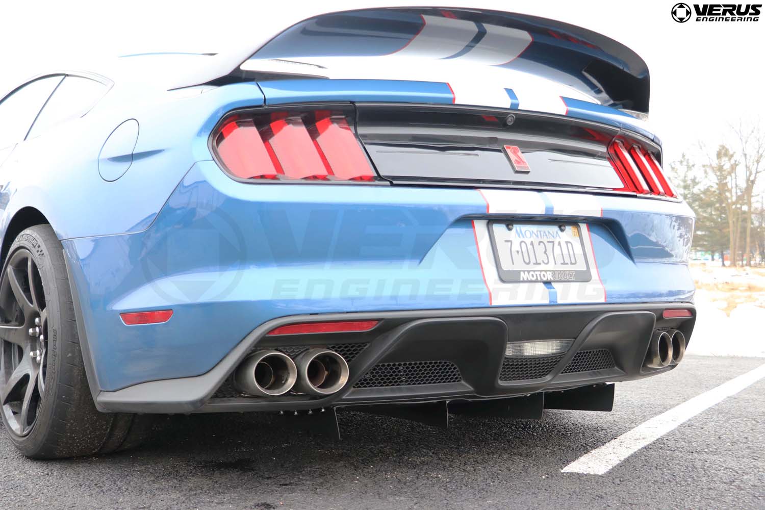 Rear Diffuser Strake Kit- Ford Mustang Shelby GT350/GT350R