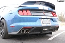 Rear Diffuser Strake Kit- Ford Mustang Shelby GT350/GT350R