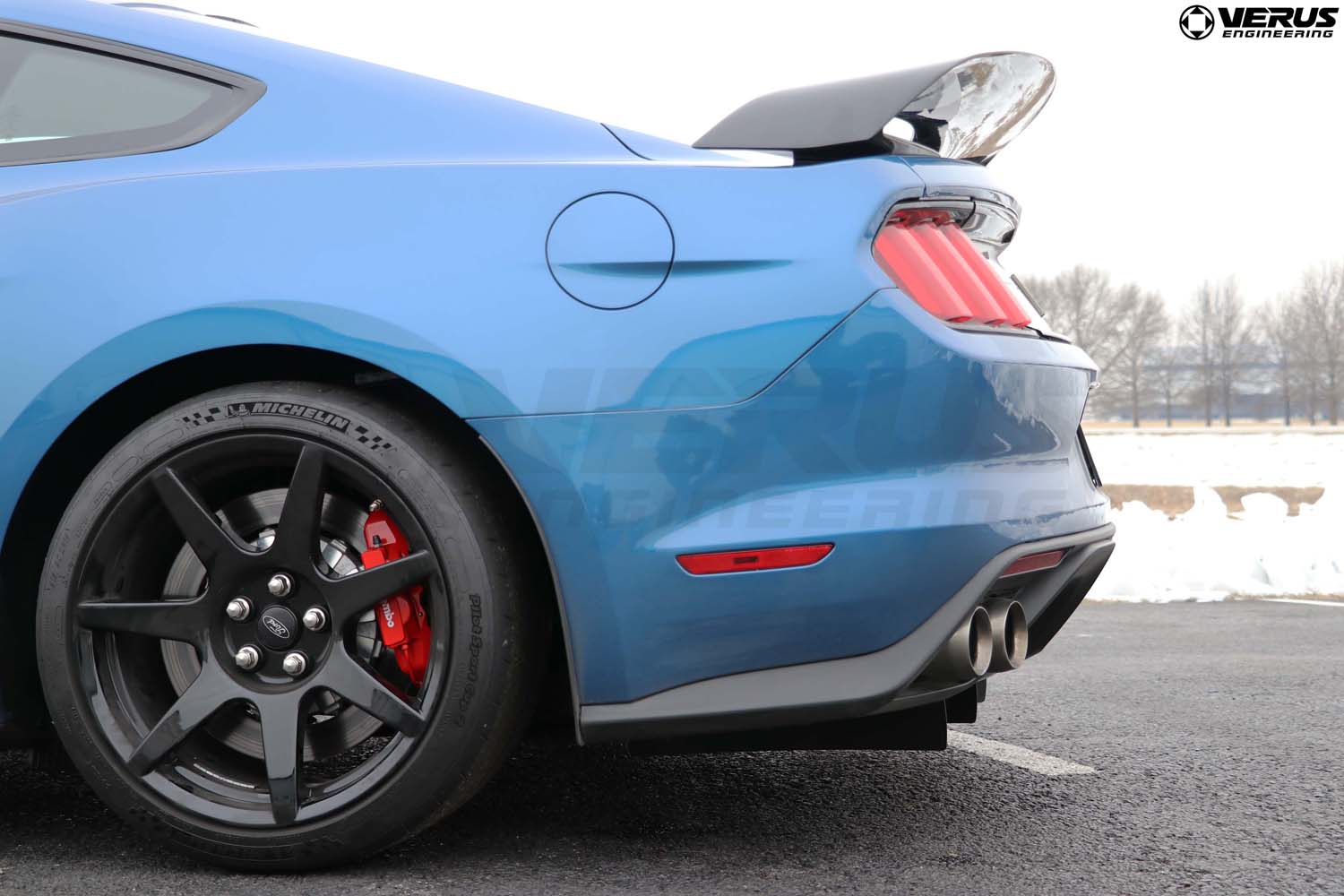 Rear Diffuser Strake Kit- Ford Mustang Shelby GT350/GT350R