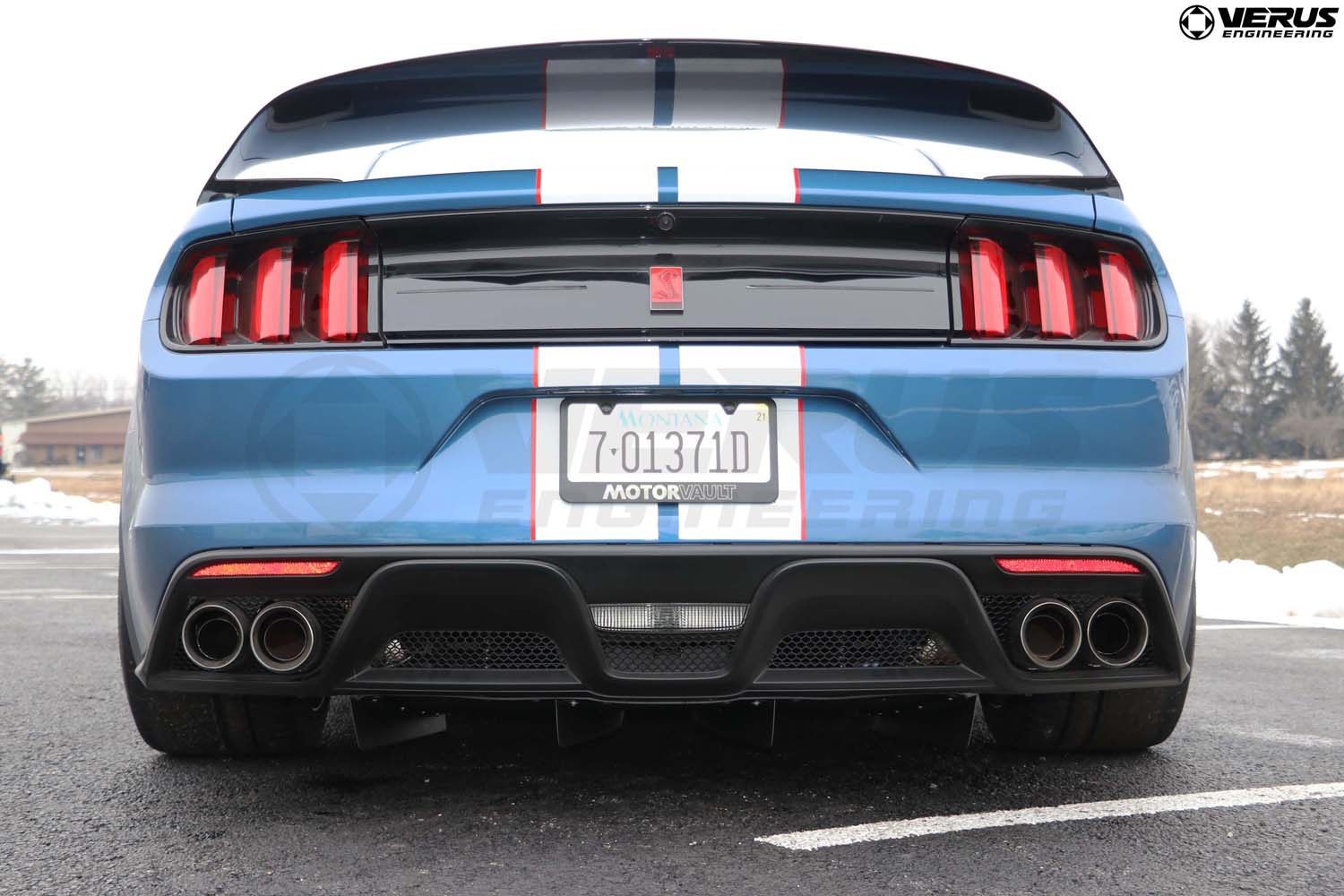 Rear Diffuser Strake Kit- Ford Mustang Shelby GT350/GT350R