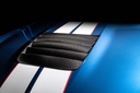 Carbon Hood Louver Kit - Ford GT350