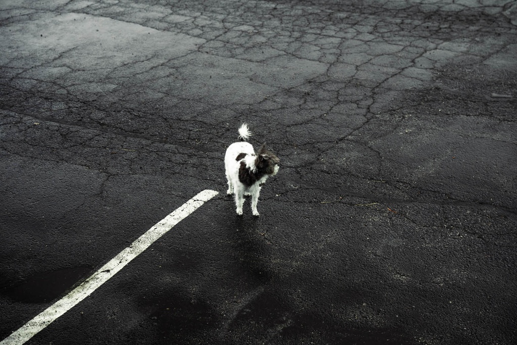 Front Splitter - Subaru VB WRX