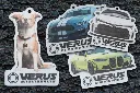 Mystery Design Car Freshener