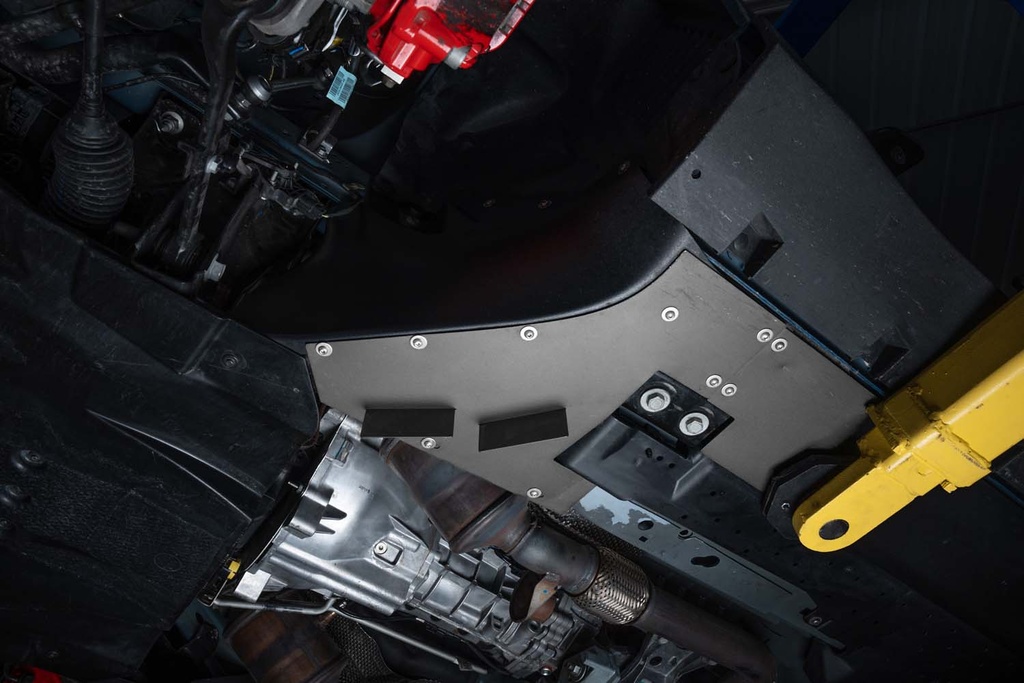 Turning Vane Kit - Ford Mustang Shelby GT350