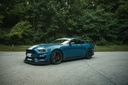 Front Splitter Kit - Ford Mustang Shelby GT350